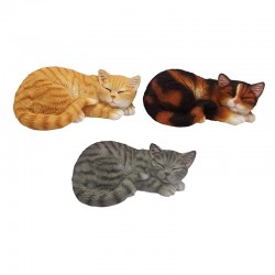 Chat Dormant -Vendu À...