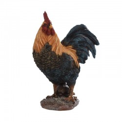 Coq S -Vendu À L'Unité-True...