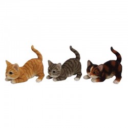Chat Jouant -Vendu À...