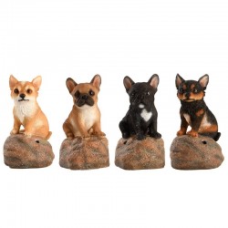Chiots D'Acceuil -Vendu À...