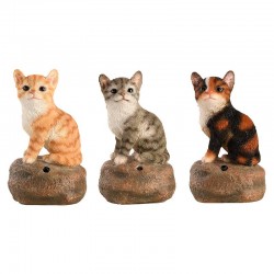 Chatons D'Acceuil -Vendu À...