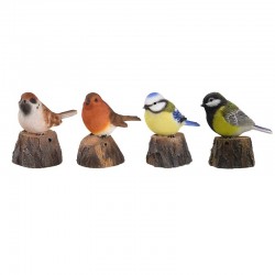 Oiseaux D'Acceuil -Vendu À...