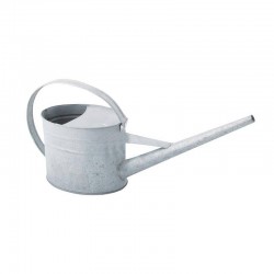 Arrosoir D Intérieur Zinc...