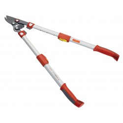 Élagueur Telescopique À...