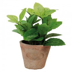 Menthe Pot At Pm -Vendu À...
