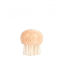 Brosse À Champignons -Vendu...