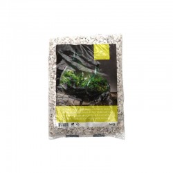 Pierres Drainage Terrarium...