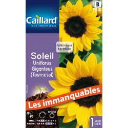 Graines Tournesol -CAILLARD