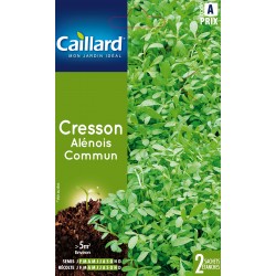 Graines Cresson Alenois...