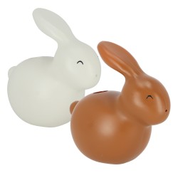 Arrosoir Lapin -Vendu À...
