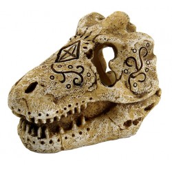 SUPERFISH DÉCO SKULL T-REX...