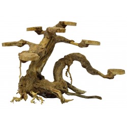 SUPERFISH BONSAÏ PLANTER Small