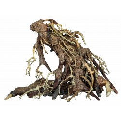 SUPERFISH BONSAÏ ROOT Small