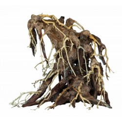 SUPERFISH BONSAÏ ROOT Medium