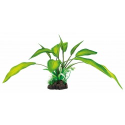 SUPERFISH ART PLANTS...