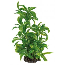 SUPERFISH ART PLANTS...