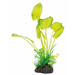 SUPERFISH ART PLANTS...