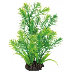 SUPERFISH ART PLANTS...