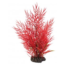 SUPERFISH ART PLANTS ROUGE...