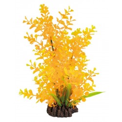 SUPERFISH ART PLANTS...