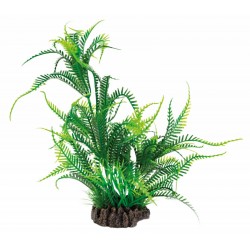 SUPERFISH ART PLANTS...