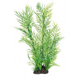 SUPERFISH ART PLANTS...