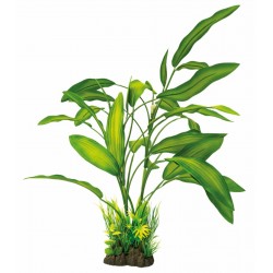SUPERFISH ART PLANTS...