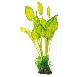 SUPERFISH ART PLANTS...