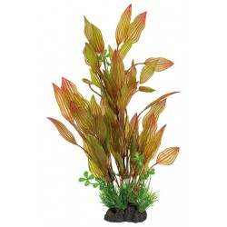 SUPERFISH ART PLANTS...