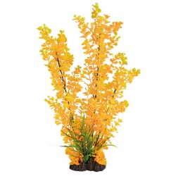 SUPERFISH ART PLANTS...