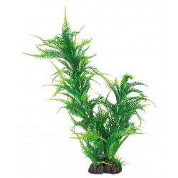 SUPERFISH ART PLANTS...