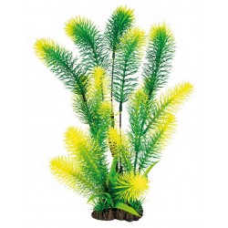 SUPERFISH ART PLANTS...