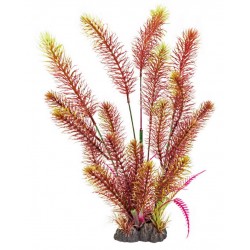 SUPERFISH ART PLANTS...