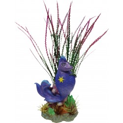 SUPERFISH WEIRD WATERS...