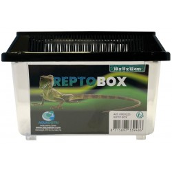 REPTO BOX 18x11-h12