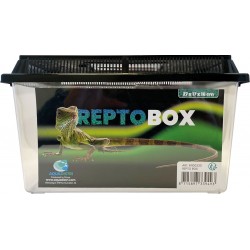 REPTO BOX 27x17-h16