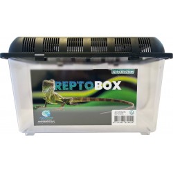 REPTO BOX 32.5x22-h21