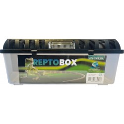REPTO BOX 42x26-h16