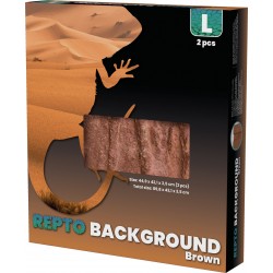 REPTO BACKGROUND L...