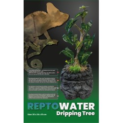 REPTO WATER DRIPPING TREE...