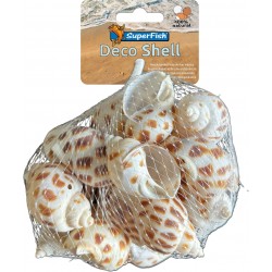 SUPERFISH DÉCO SHELL Snail...