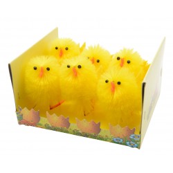 Boite De 6 Poussins...