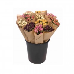 BOUQUET Rose assorti...