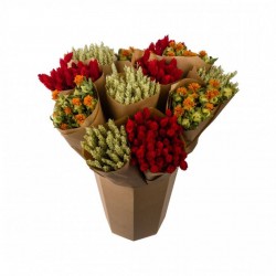 BOUQUET assorti FLR-SEC...