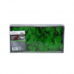 Lichen Vert Vif 500G -MY...