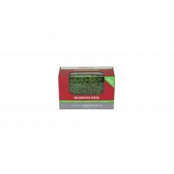 Mousse Tillandsia Vert 50G...