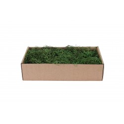 Mousse Tillandsia Vert 500G...