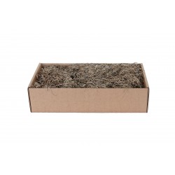 Mousse Tillandsia Naturel...