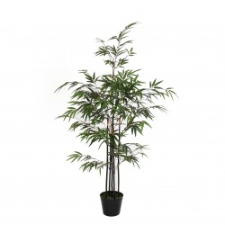 Bambou En Pot Pot Vert En...