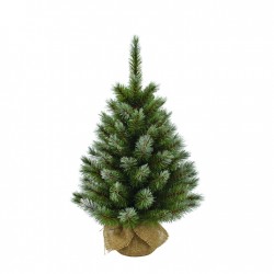 Sapin Pomme De Pin...